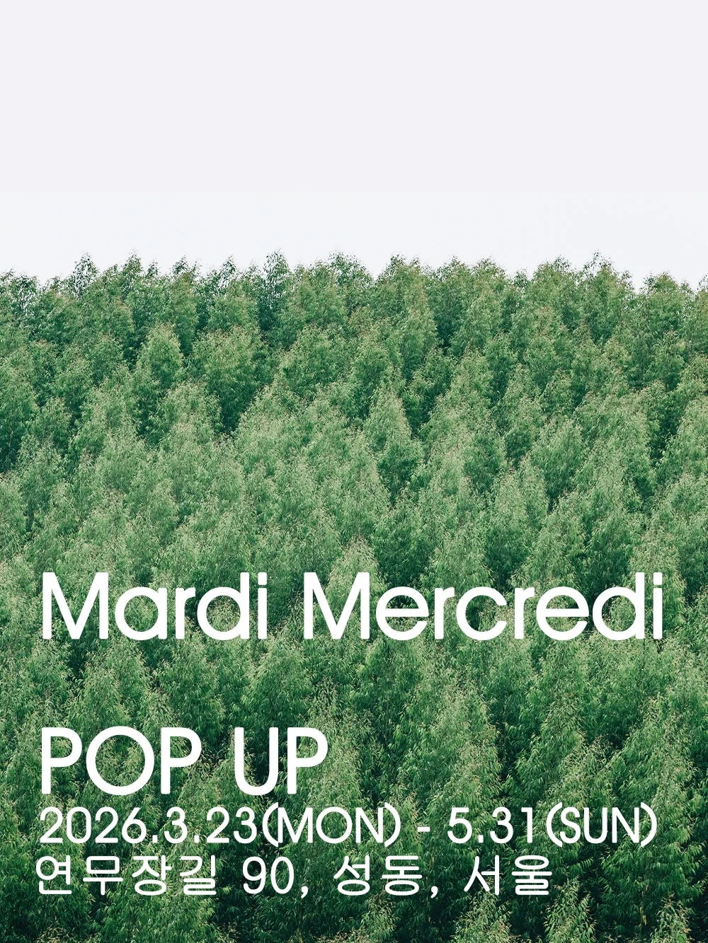 상세 이미지-60133