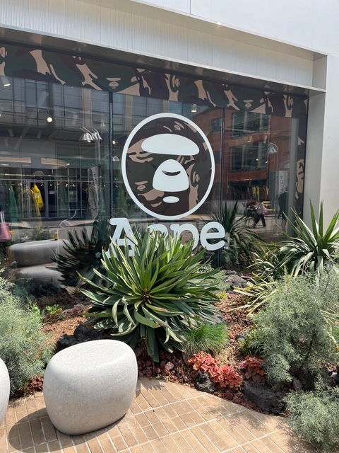 에이프 팝업 후기 이미지 1