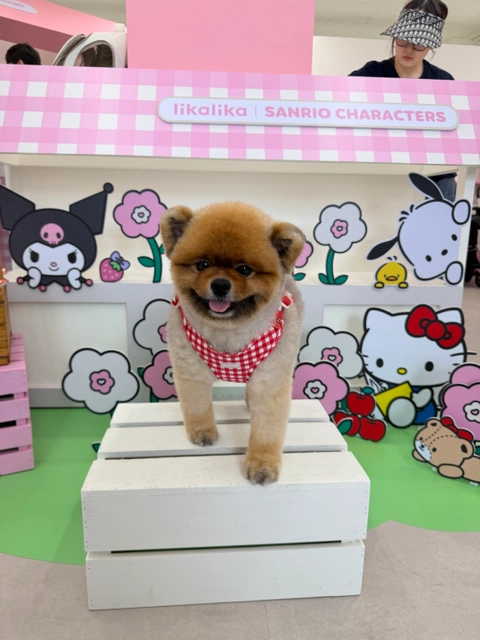 후기 이미지 3