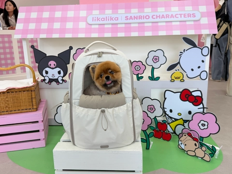 후기 이미지 2