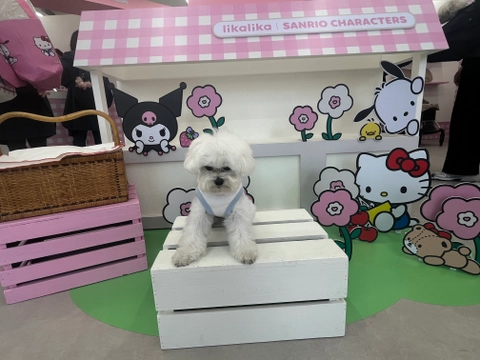 리카리카 X 산리오캐릭터즈 성수 팝업 후기 이미지 1