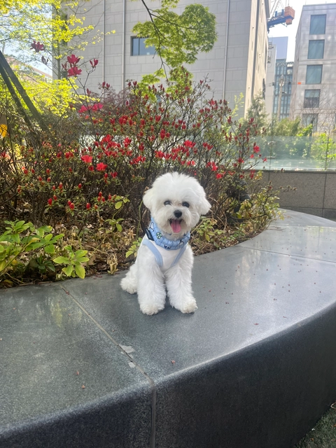 리카리카 X 산리오캐릭터즈 성수 팝업 후기 이미지 2