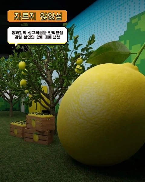 상세 이미지-64432