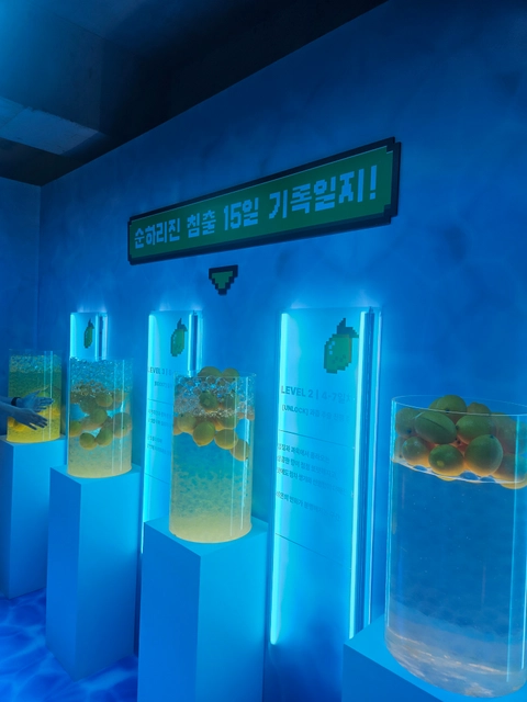 순하리 팝업 - 순하리찐아일랜드 후기 이미지 2