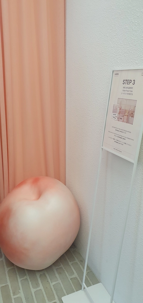 휩드 팝업 후기 이미지 4