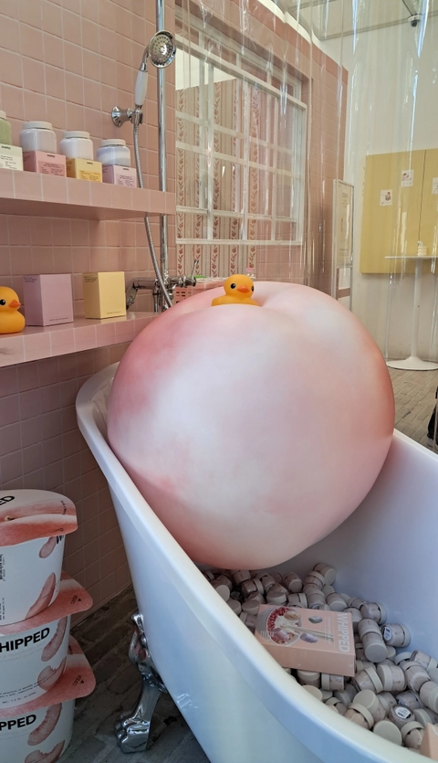 휩드 팝업 후기 이미지 1