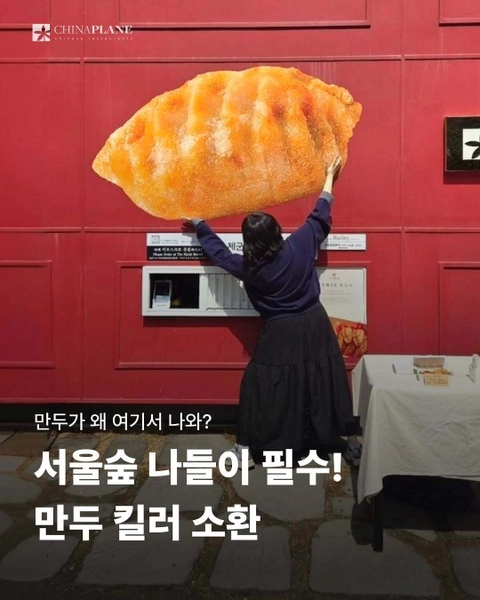 차이나플레인 팝업