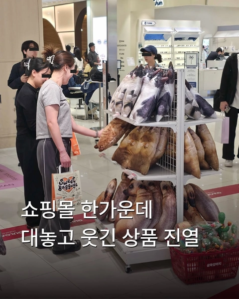 상세 이미지-65701