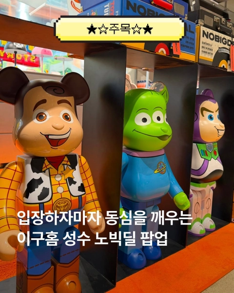 노빅딜 팝업