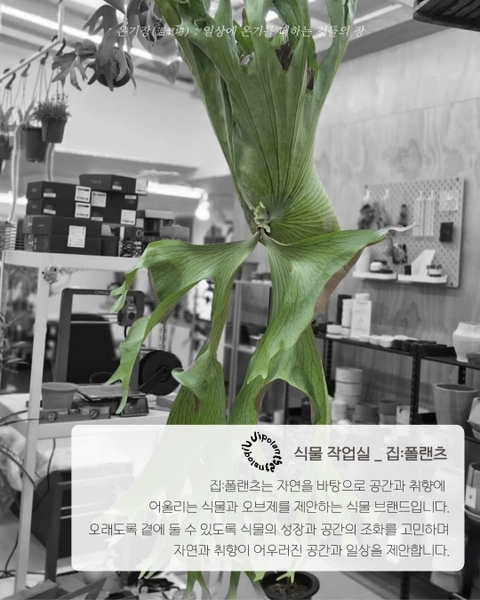 상세 이미지-79452