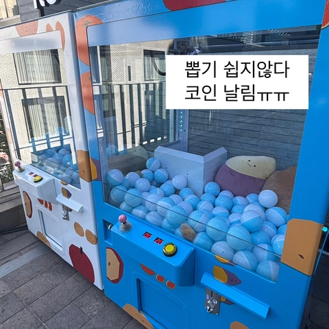 후기 이미지 5