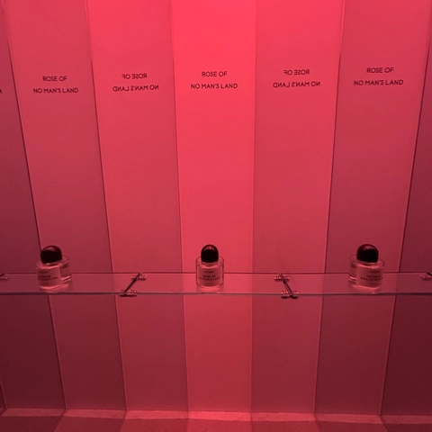 후기 이미지 5
