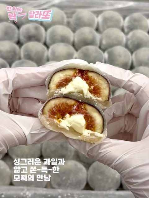 상세 이미지-81862