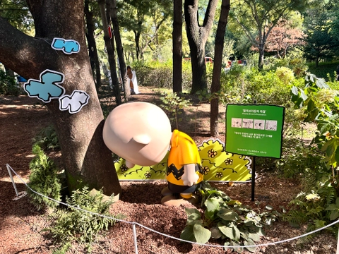 후기 이미지 2
