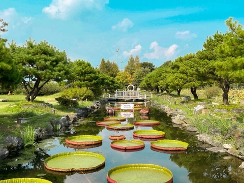 상세 이미지-85925